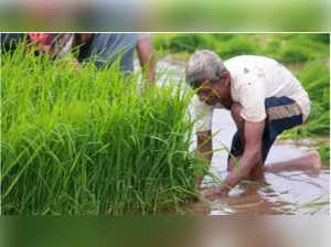 Over 7 mn hectares of Kharif crops sown in Gujarat due to timely rain: Agriculture Minister