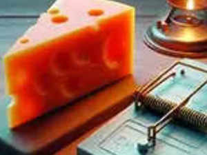 Take tech cheese to avoid the trap:Image