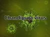 Government says 53 cases of Chandipura virus reported in country