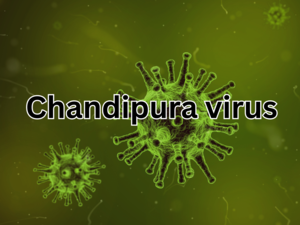 Chandipura virus