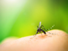 66 cases of Zika virus infection found in Pune city since June
