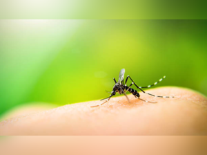 Zika virus cases increase in Pune