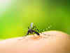 Pune reports eight new Zika virus cases, six of them pregnant women