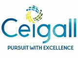 Ceigall India shares fall further to IPO price after tepid debut. What should investors do?