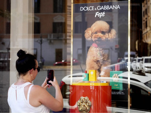 Dolce & Gabbana’s launches Rs 9,000 dog perfume. Why some vets and pet owners are skeptical