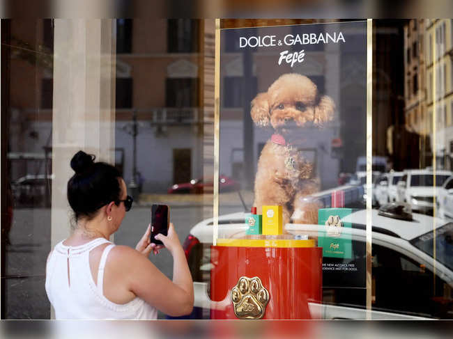 Dolce & Gabbana dog perfume