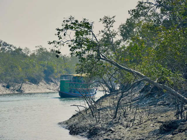 From Kolkata