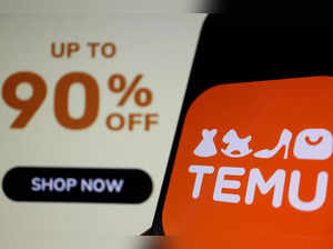 FILE PHOTO: Illustration picture of e-commerce platform Temu