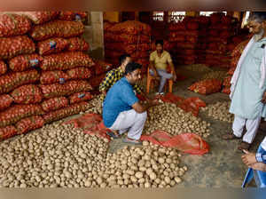 Labourers arrange sacks of potatoes for sale at Ghazipu...