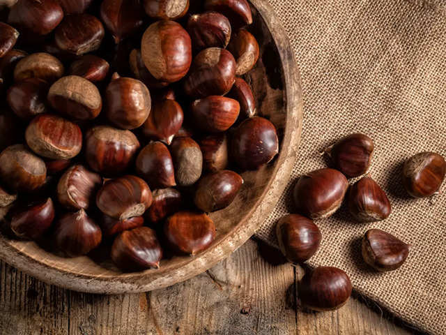 ​Shahbaloot (chestnut)​