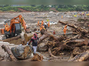 Search mission resumes in landslide-hit Wayanad; hundreds of civil volunteers take part