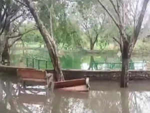 7-year-old boy drowns in waterlogged park in Delhi's Rohini; legal action taken