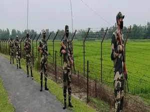 BSF, with BGB's assistance, foils Bangladeshi infiltration bid