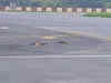 Viral video: Cobra vs three Mongooses at Patna Airport runway, watch what happens next