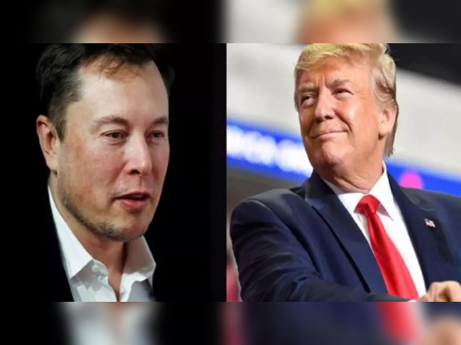 US Elections 2024: Is Elon Musk planning to interview Donald Trump? Here’s what we know