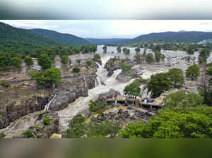 Dharmapuri: River Cauvery is in spate in Hogenakkal with increased inflow due to...