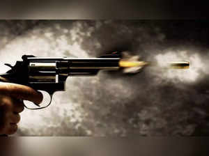 Assailants in car open fire on another vehicle on Delhi-Haridwar highway