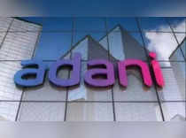 Adani stocks