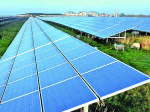 India adds 1.7 GW solar power capacity in July:Image