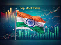 HAL, SBI among 8 picks recommended by experts as Independence Day theme