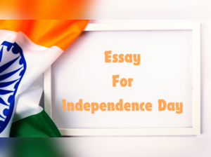 Essay for Independence Day