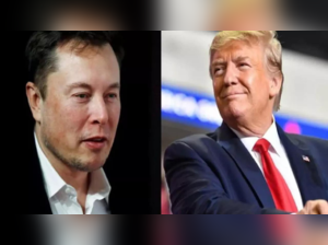 Donald Trump Elon Musk