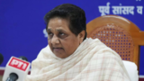 UP govt didn't do fair job: Mayawati over High Court order on assistant teachers' appointment