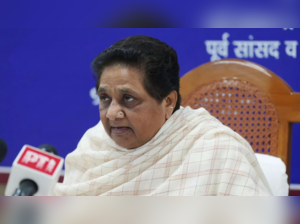 BSP president Mayawati (PTI photo)