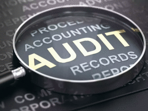 Audit---Agencies