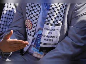 'The answer is no': Pro-Palestinian delegates say their request for a speaker at DNC was shut down