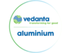 Vedanta Aluminium appoints Fabio Roberto Martins as CEO of Billets