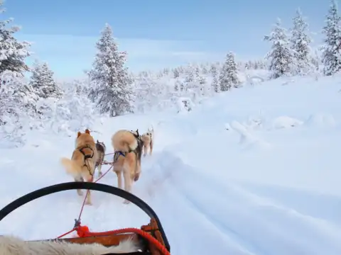 Scenic Winter Landscapes
