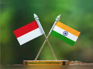 India, Indonesia resolve to boost anti-terror cooperation