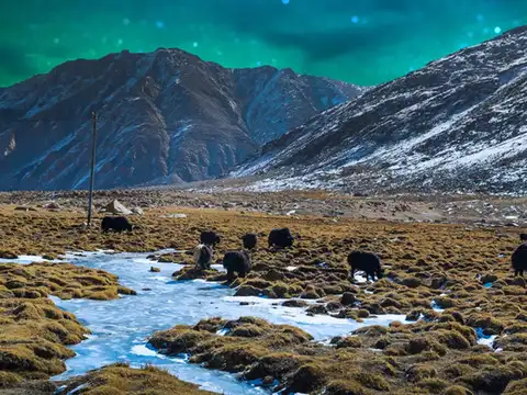 ​Nubra Valley​