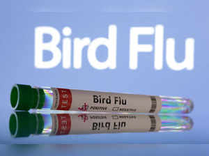 Bird flu