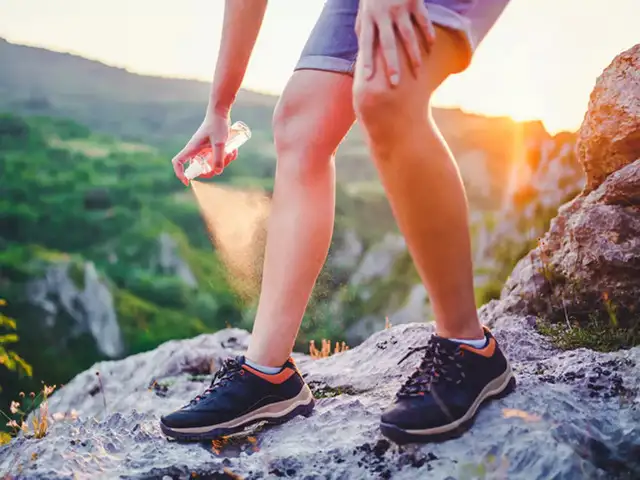 Sloth fever outbreak: Key facts on the deadly virus and should you be