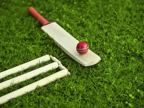 Foundations in cricket administration