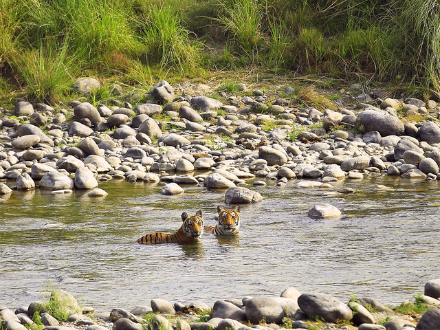 What to do: Parks and sanctuaries