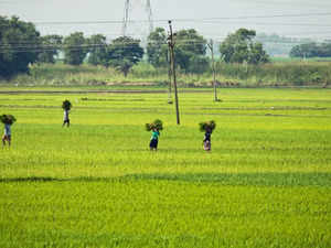 ​West Bengal