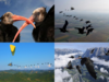 Once nearly extinct, scientists now using gliders to teach northern bald ibis how to migrate