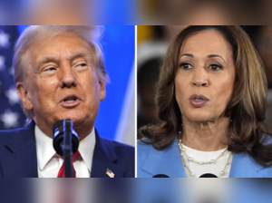 Kamala Harris' plan to increase taxes post US Elections win generates huge controversy, will voters vote for her?