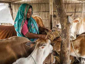 Economy, biodiversity key in animal disease fight: Animal Husbandry Commissioner