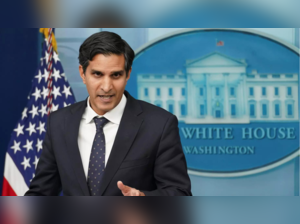 Daleep Singh, White House deputy National Security Adviser for International Economics