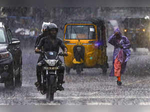 Telangana rains