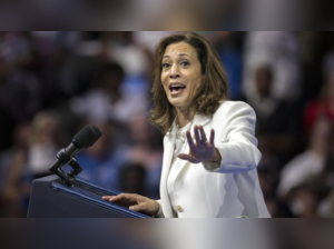 We Did It Joe: MAGA artist mocks Kamala Harris and Joe Biden with latest painting