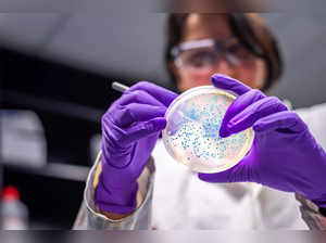 lab bacteria istock