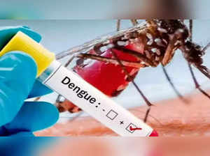 Karnataka dengue news today