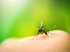 Karnataka govt notifies dengue as 'epidemic disease'