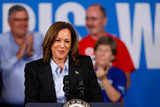 US election 2024: Kamala Harris has her hand on India's raw nerve