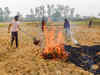 Haryana, Punjab aiming for zero farm fires: Govt to SC